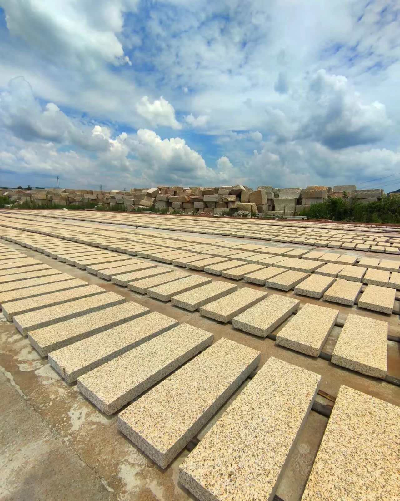 白山 黄金麻花岗岩荔枝面地铺石防护中